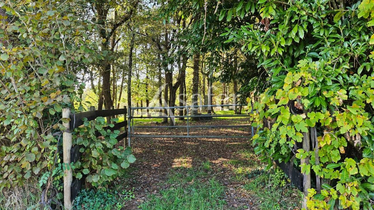 Ander plattelands vastgoed Koop Charente-Maritime