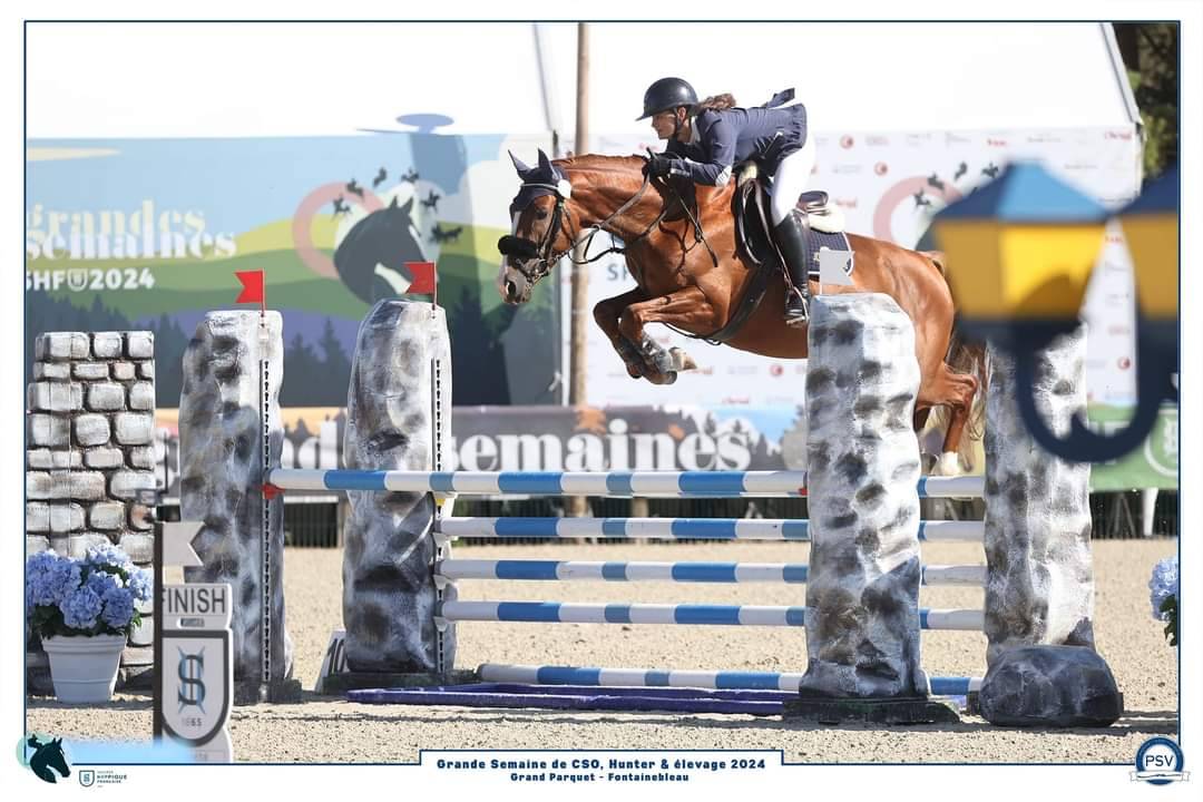 KELAMOUR DE L'OZANCE - Selle Français 2020 ,  L'AMOUR DU BOIS ISO 171