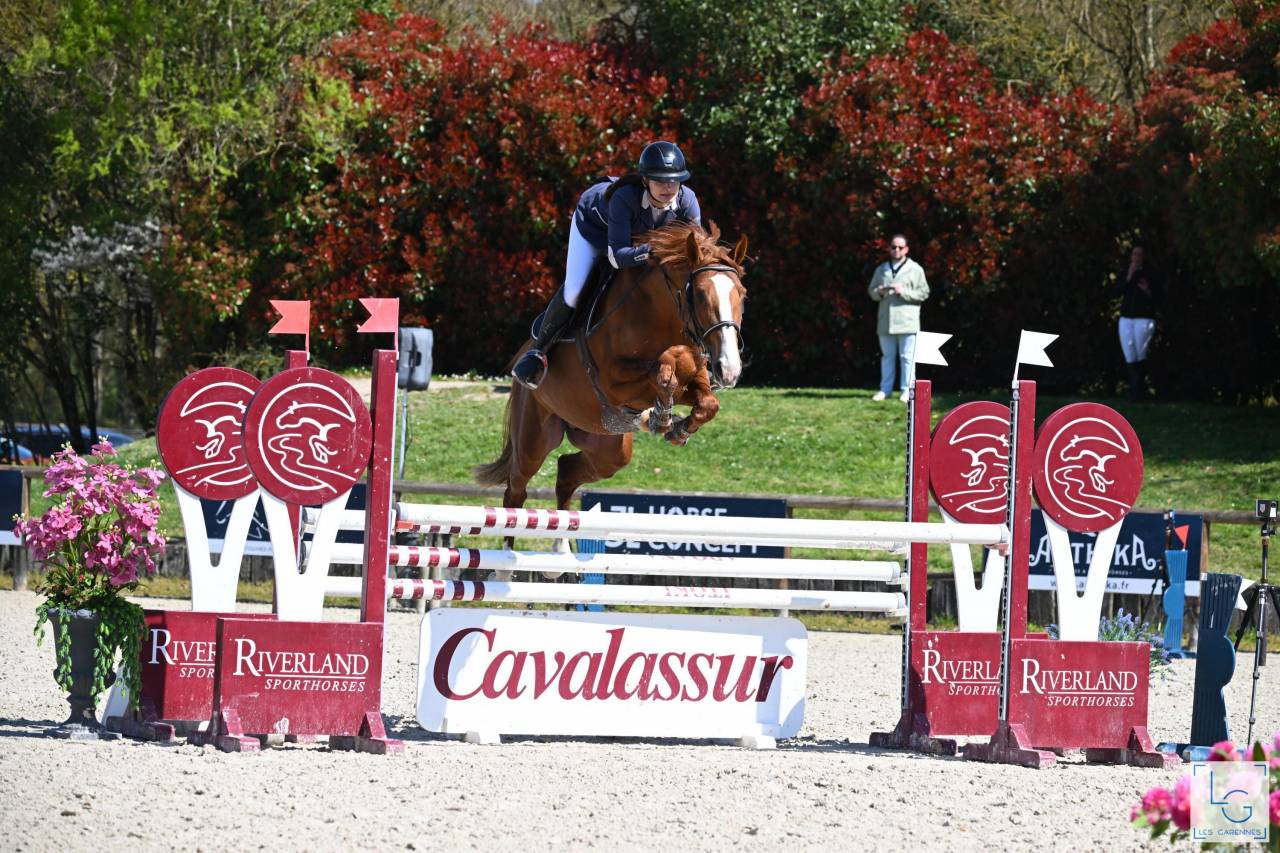 KELAMOUR DE L'OZANCE - Selle Français 2020 ,  L'AMOUR DU BOIS ISO 171