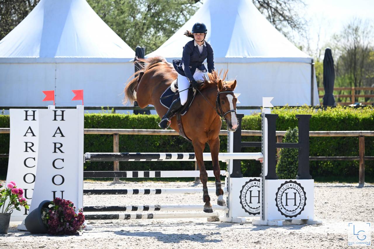 KELAMOUR DE L'OZANCE - Selle Français 2020 ,  L'AMOUR DU BOIS ISO 171