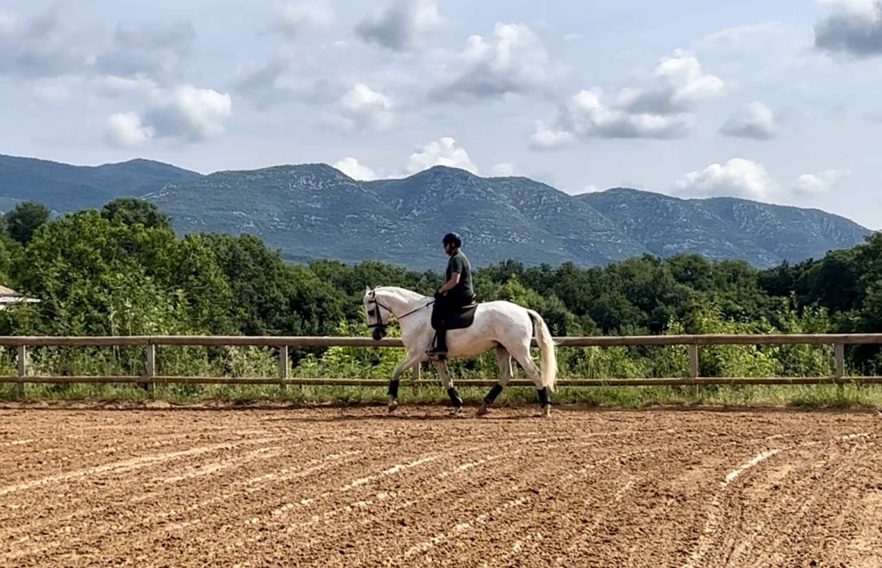 Ruin Lusitano Te koop 2017 Schimmel ,  ARAGAO (PRT)