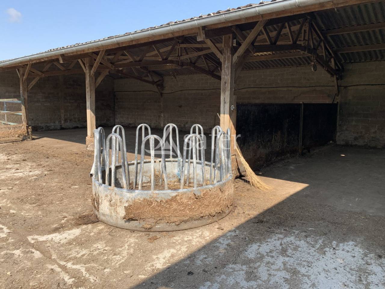 Hippisch vastgoed Koop Calvados