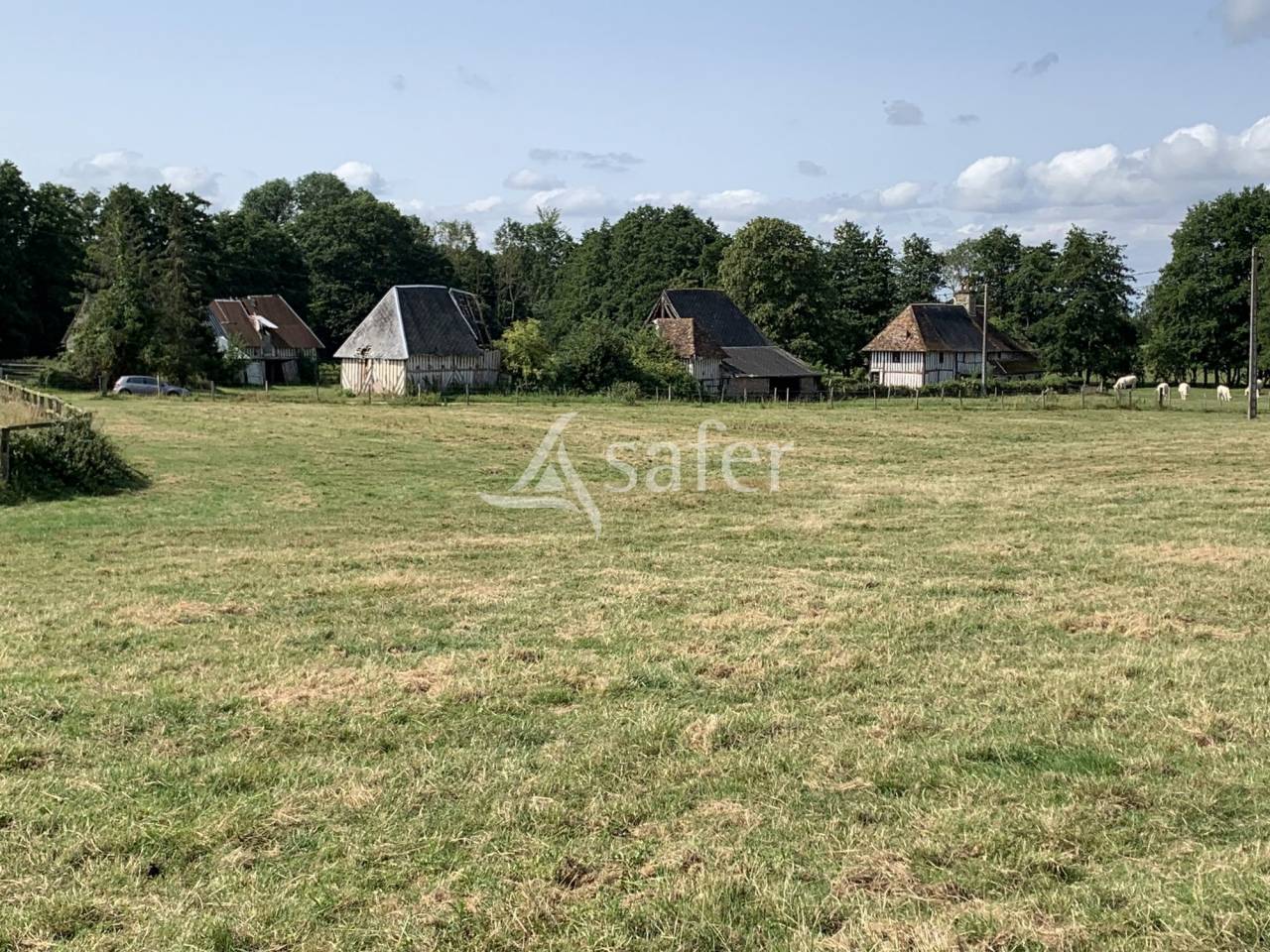 Hippisch vastgoed Koop Calvados