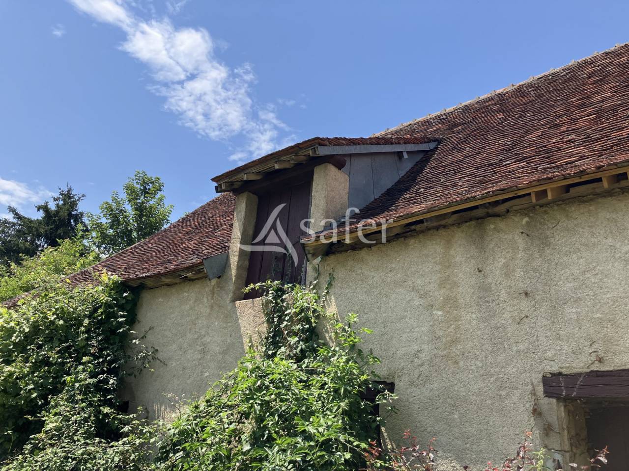 Landbouw bedrijf Koop Cher