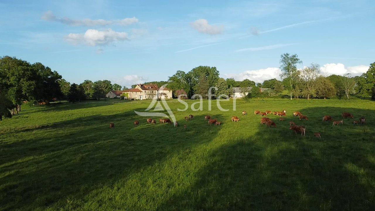 Landbouw bedrijf Koop Charente