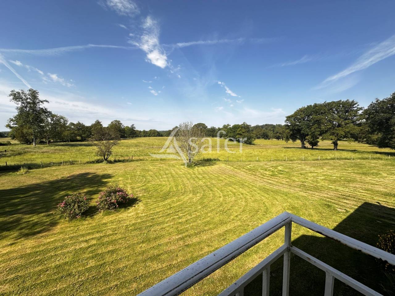 Landbouw bedrijf Koop Charente