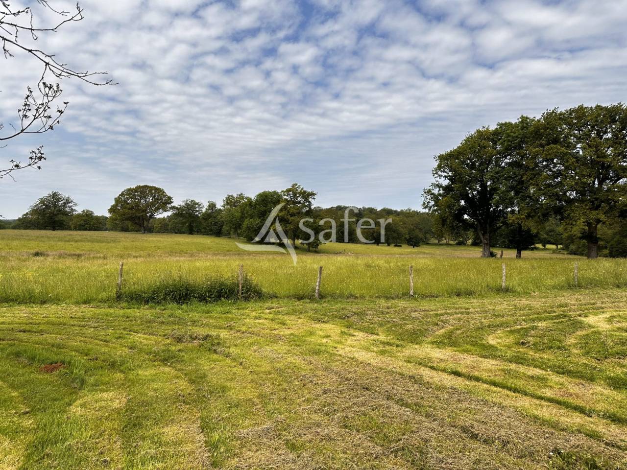 Landbouw bedrijf Koop Charente