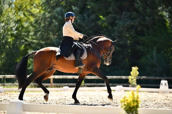 Dior du Fesquet - Lusitano 2013 ,  Rubi Ar
