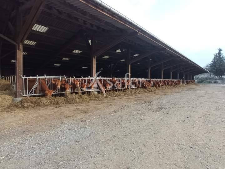 Ander plattelands vastgoed Koop Creuse