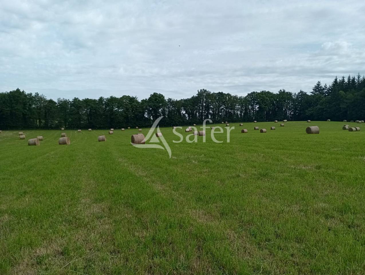 Ander plattelands vastgoed Koop Creuse