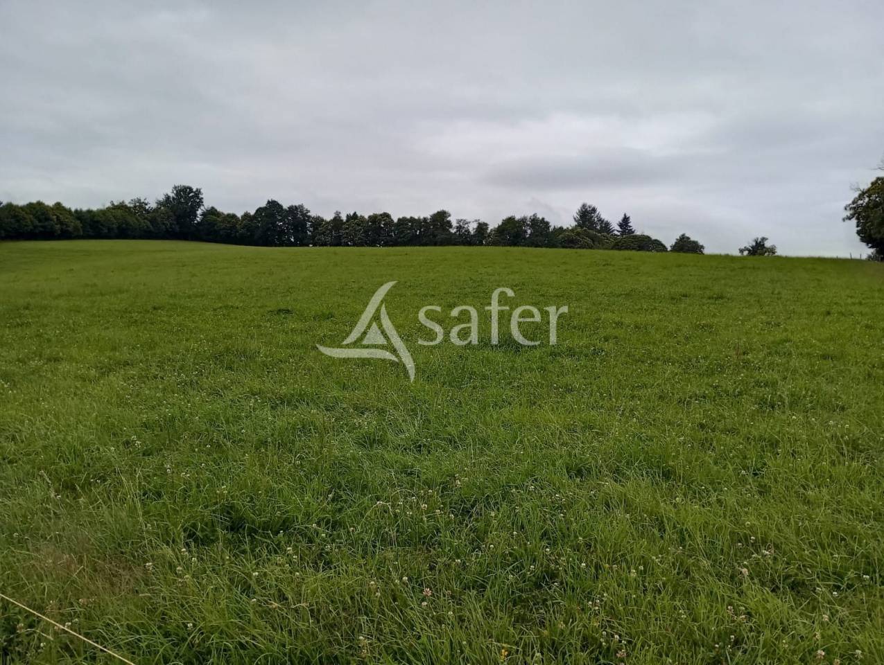 Ander plattelands vastgoed Koop Creuse