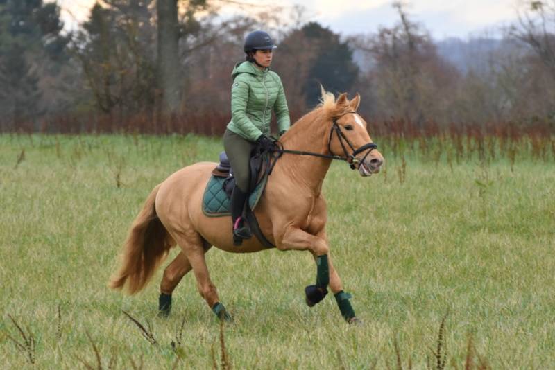 Sueno Carthago - PRE Puur Ras Spaans 2020