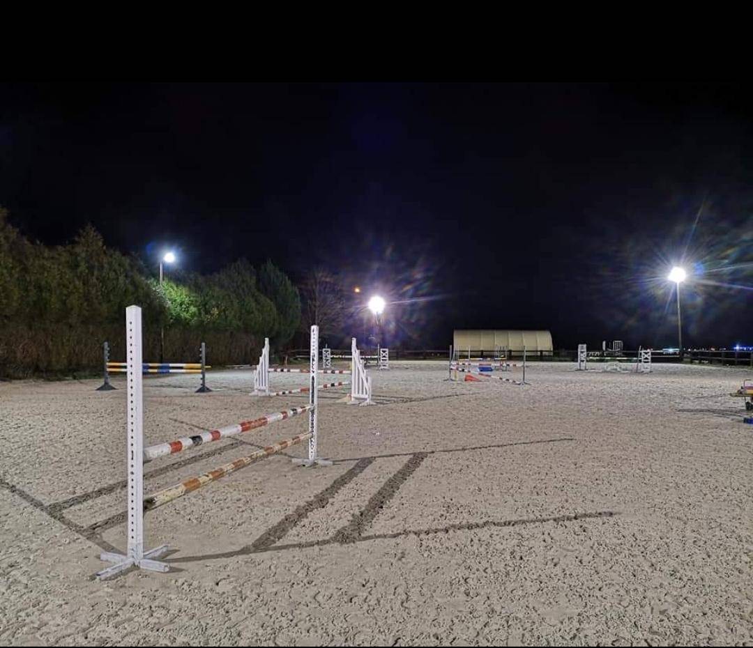 Hippisch vastgoed Koop Oise