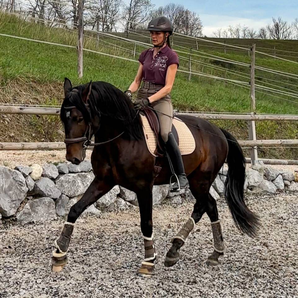 Quartzo da Ajuda - Lusitano 2020