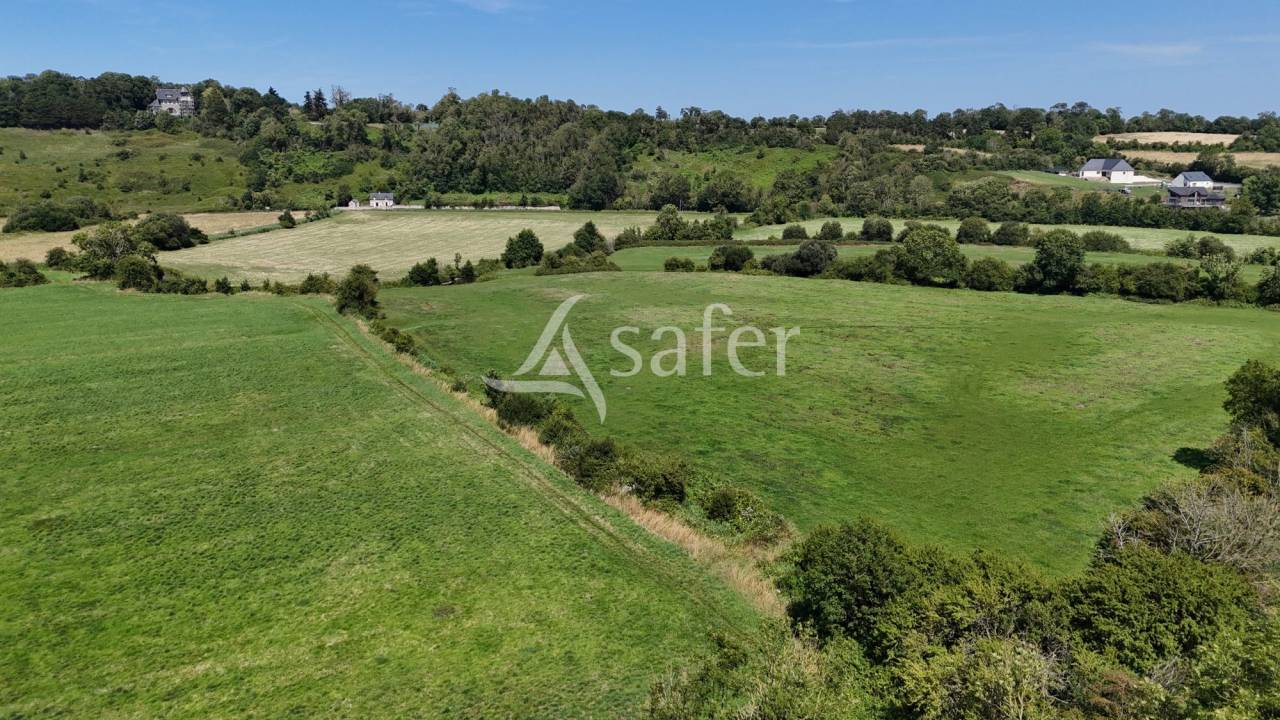 Hippisch vastgoed Koop Calvados