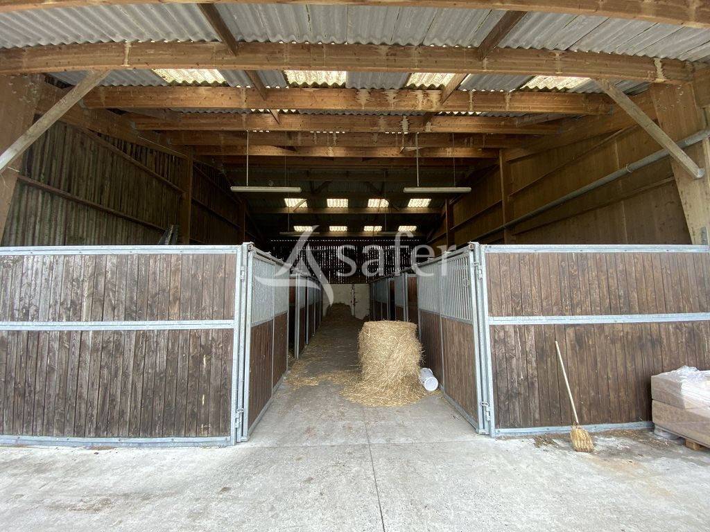 Hippisch vastgoed Koop Calvados