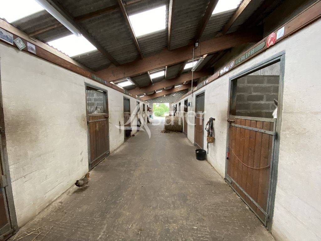 Hippisch vastgoed Koop Calvados