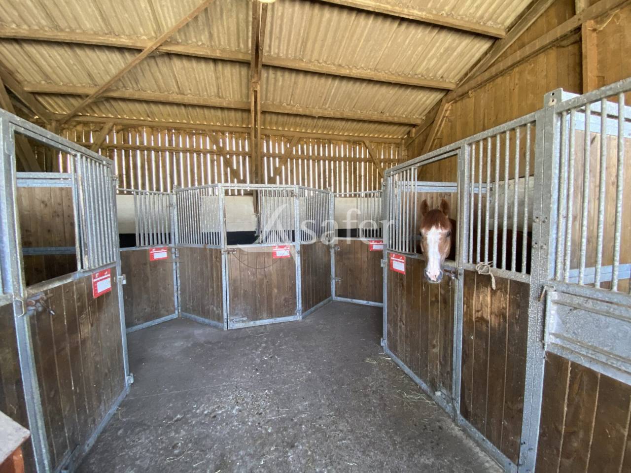 Hippisch vastgoed Koop Calvados