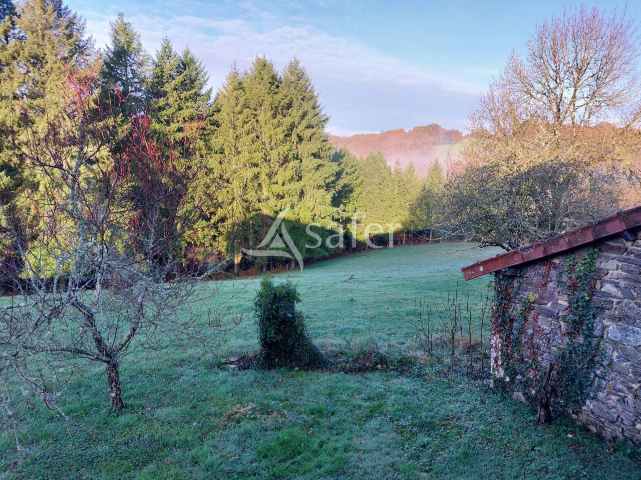 Bos exploitatie Koop Dordogne