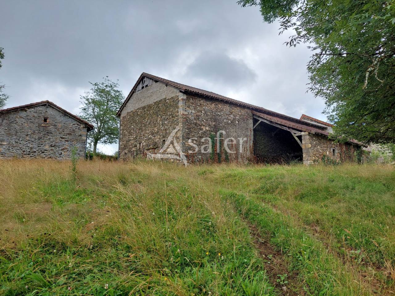 Bos exploitatie Koop Dordogne