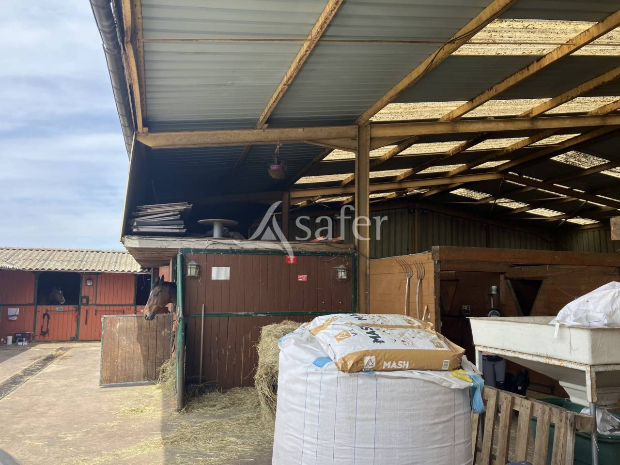 Hippisch vastgoed Koop Essonne