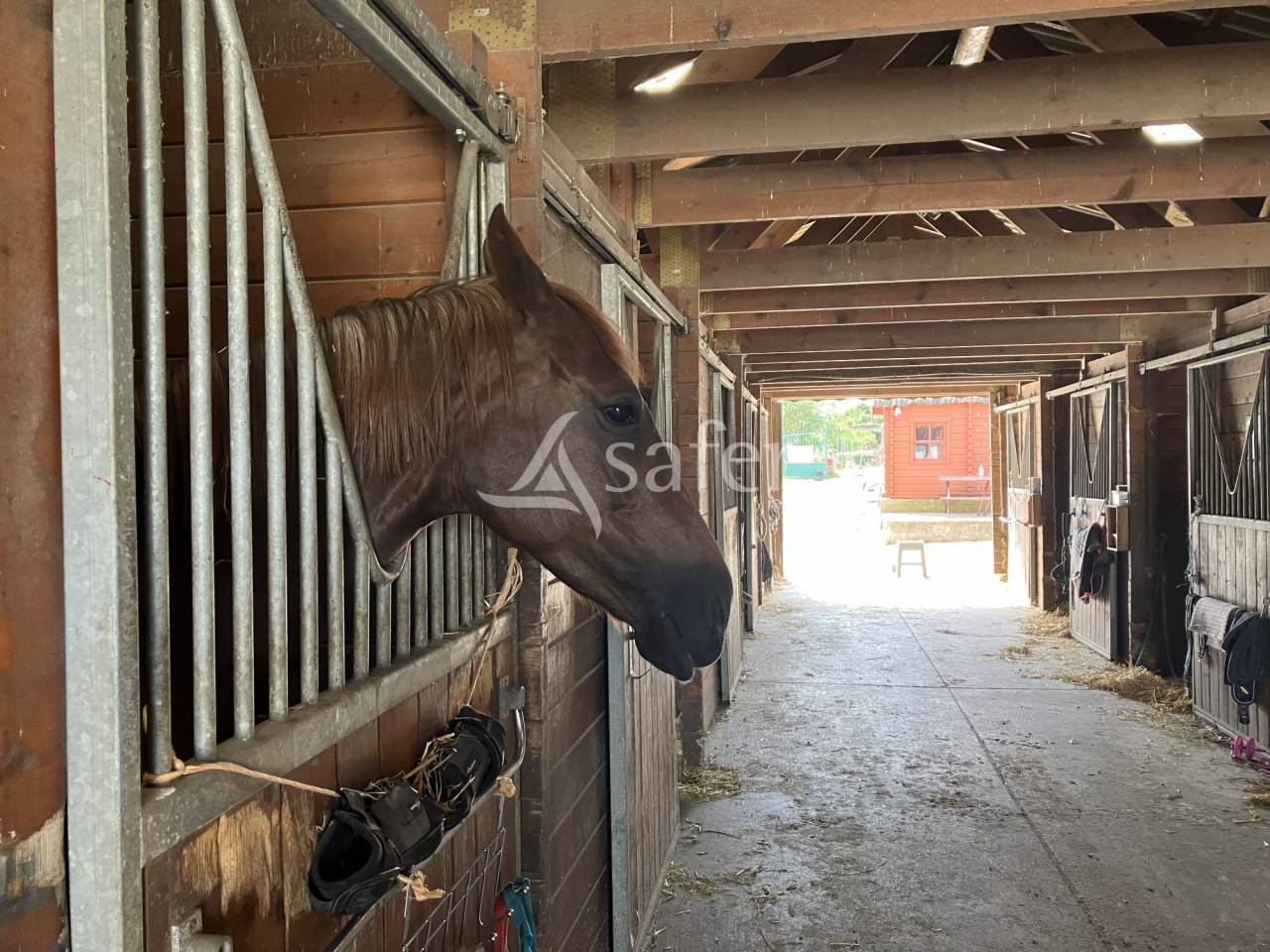 Hippisch vastgoed Koop Essonne