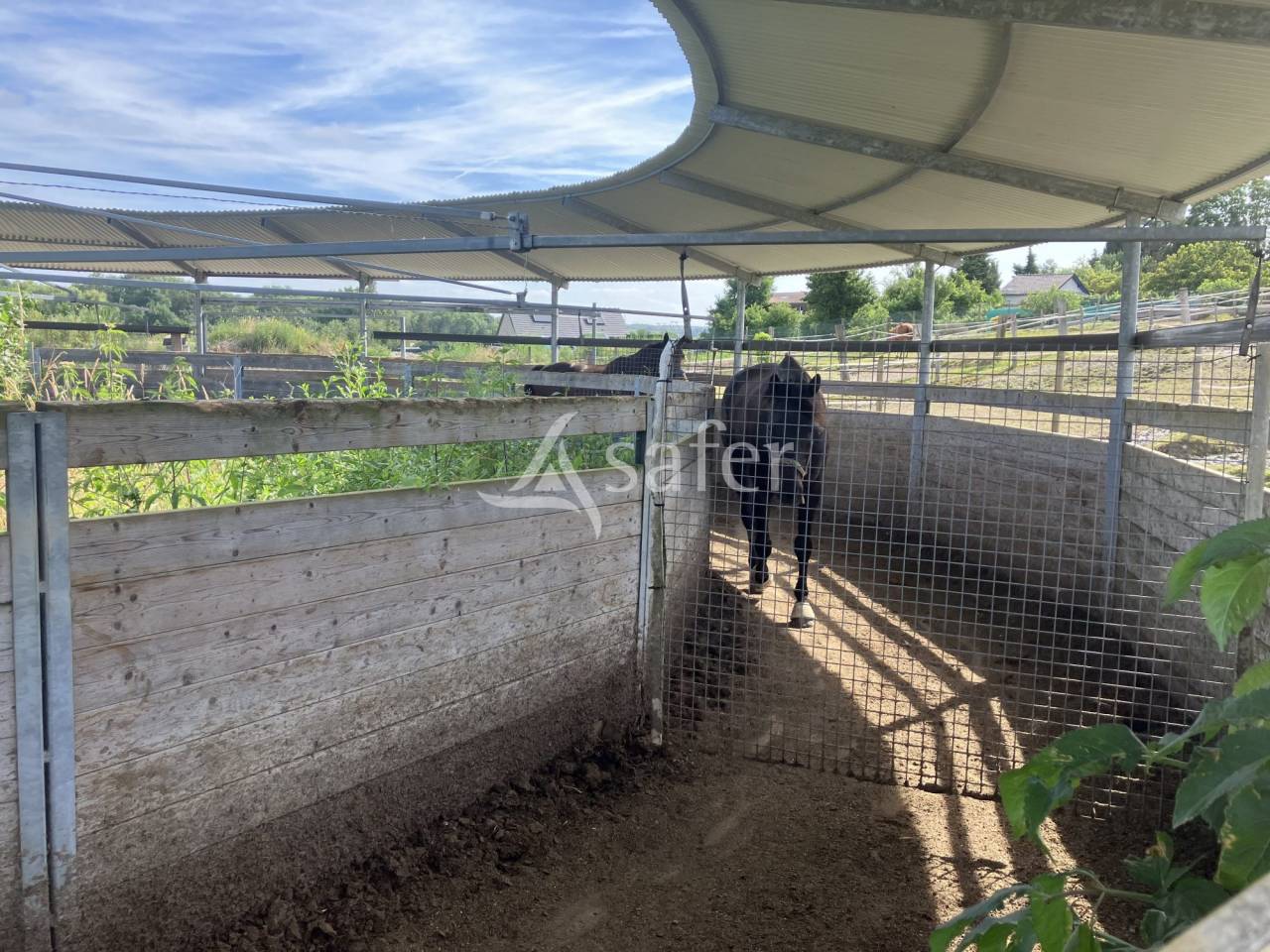 Hippisch vastgoed Koop Essonne
