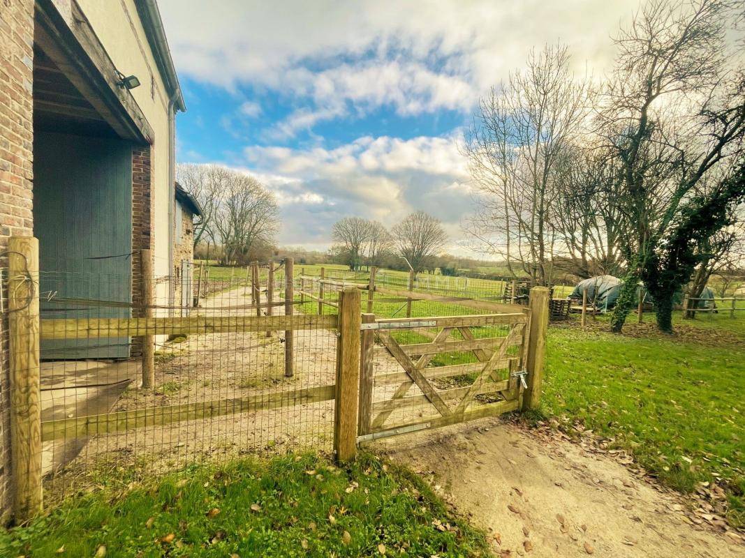 Hippisch vastgoed Koop Orne