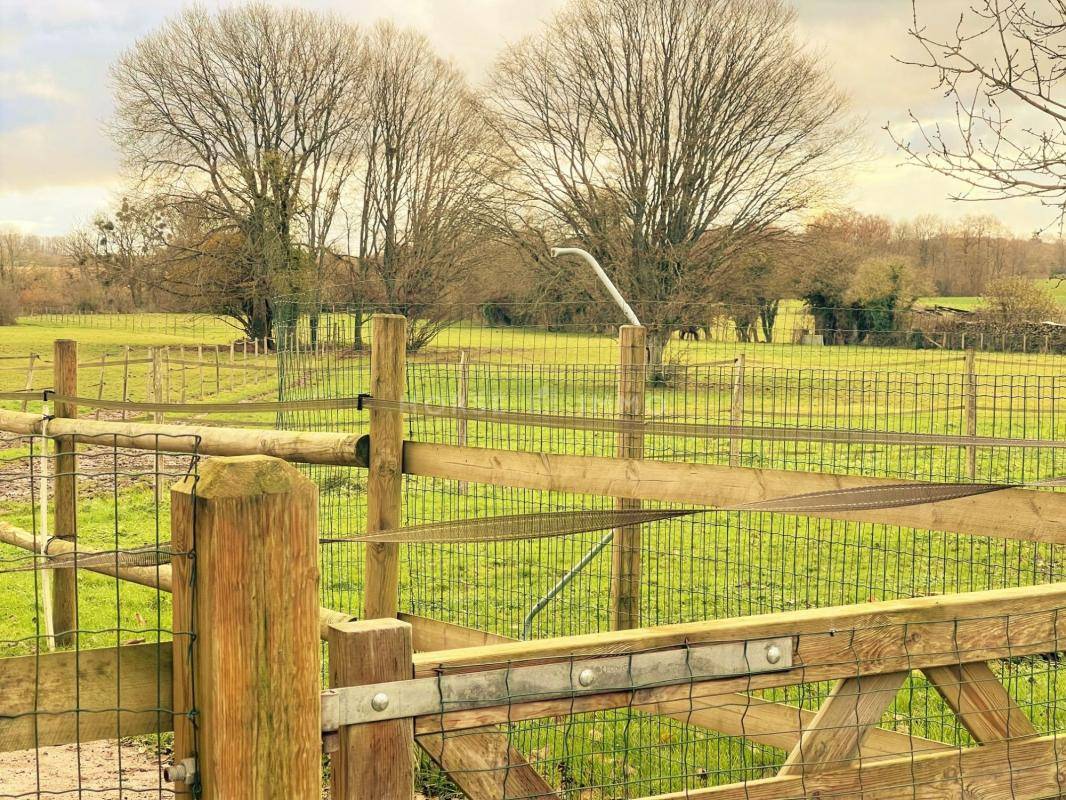 Hippisch vastgoed Koop Orne