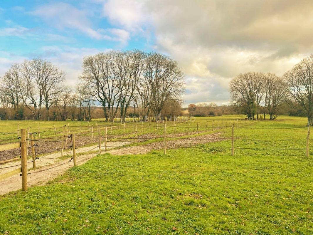 Hippisch vastgoed Koop Orne