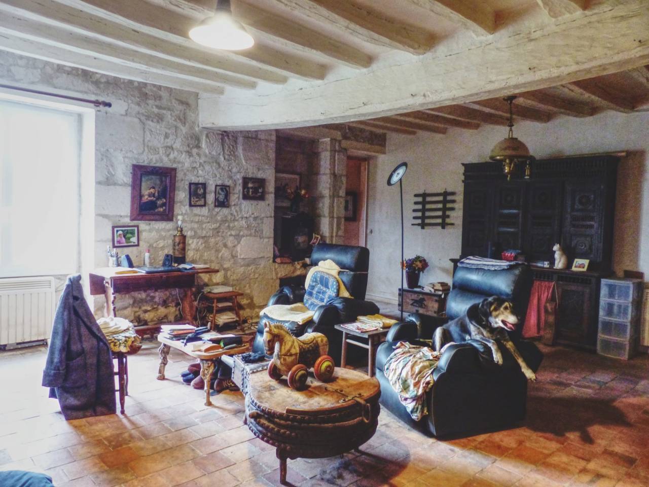 Hippisch vastgoed Koop Indre-et-Loire