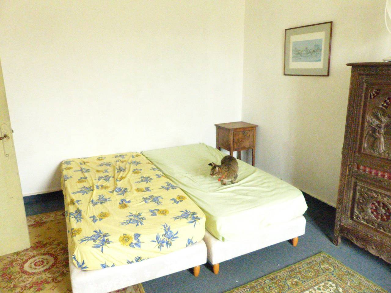 Hippisch vastgoed Koop Indre-et-Loire