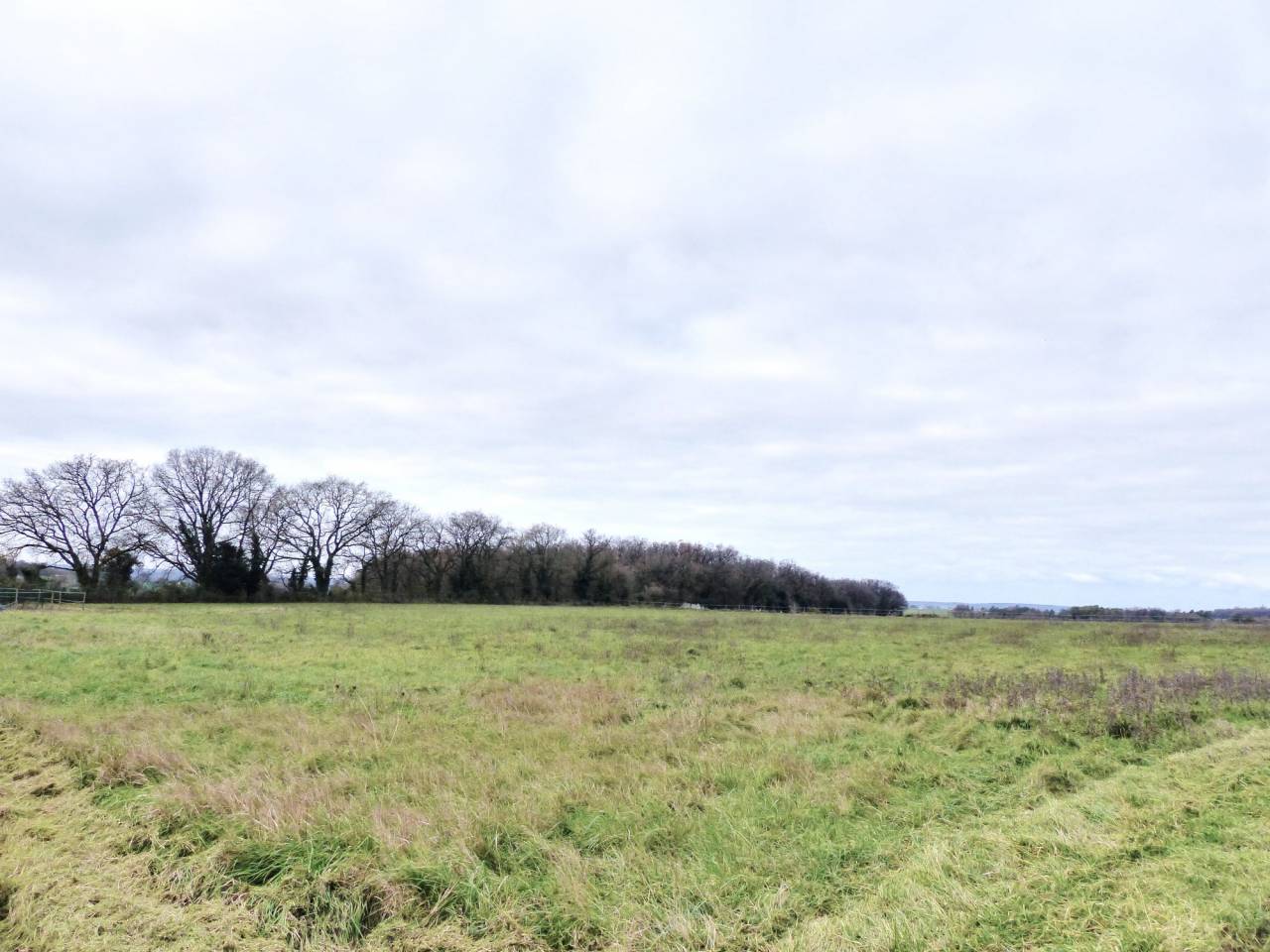 Hippisch vastgoed Koop Indre-et-Loire
