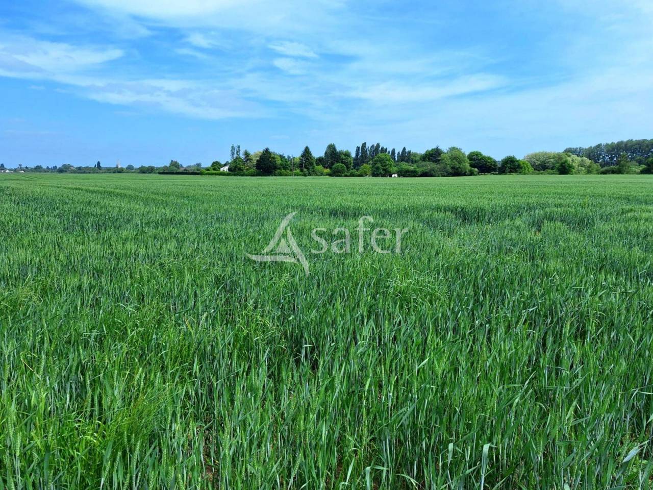 Landbouw bedrijf Koop Loiret