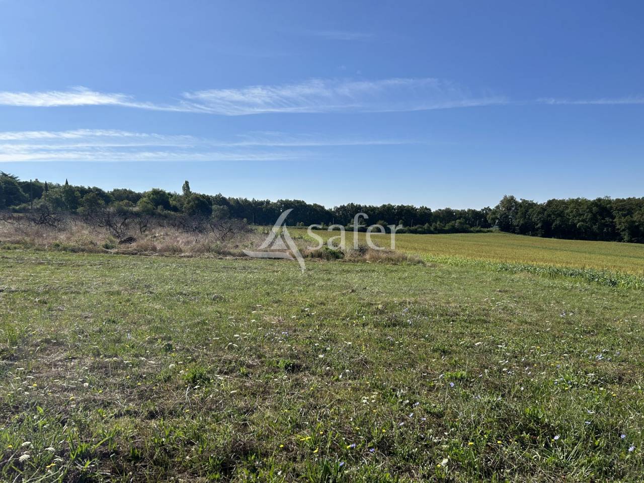 Landbouw bedrijf Koop Lot-et-Garonne