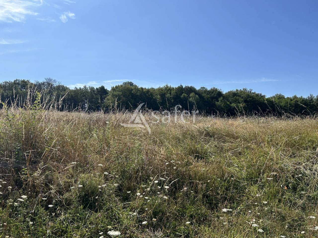 Landbouw bedrijf Koop Lot-et-Garonne
