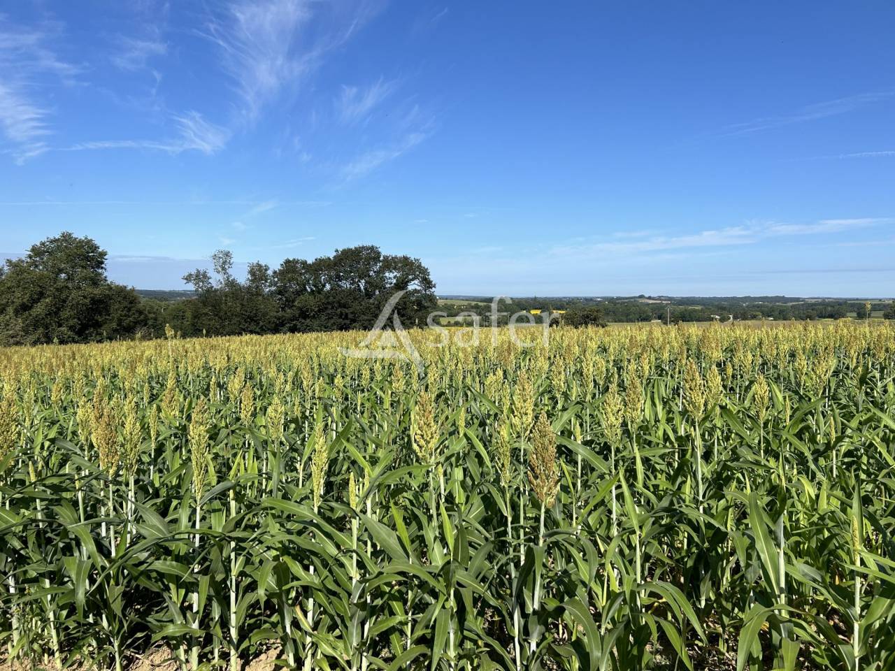 Landbouw bedrijf Koop Lot-et-Garonne