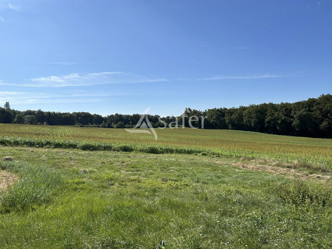 Landbouw bedrijf Koop Lot-et-Garonne