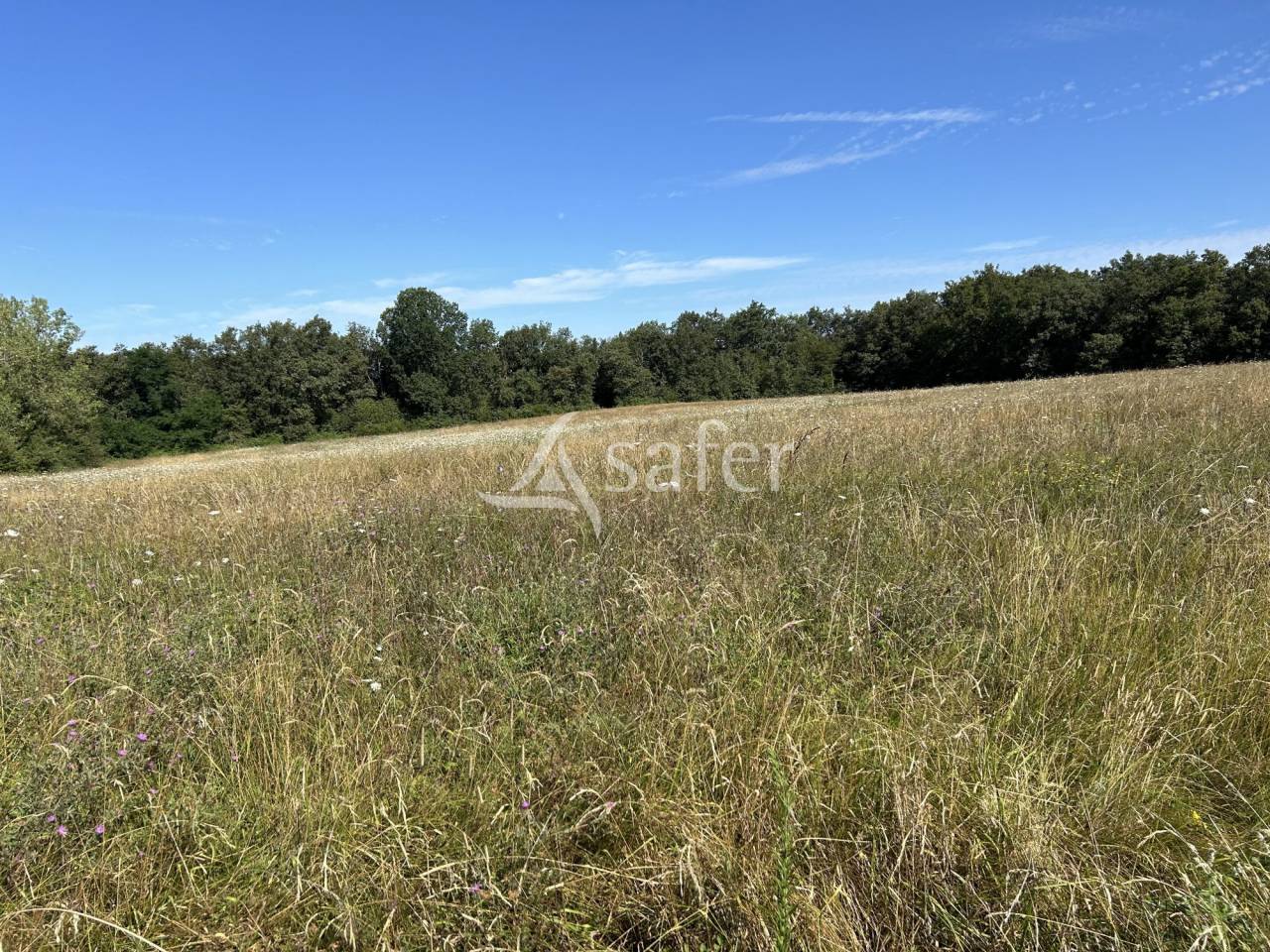 Landbouw bedrijf Koop Lot-et-Garonne