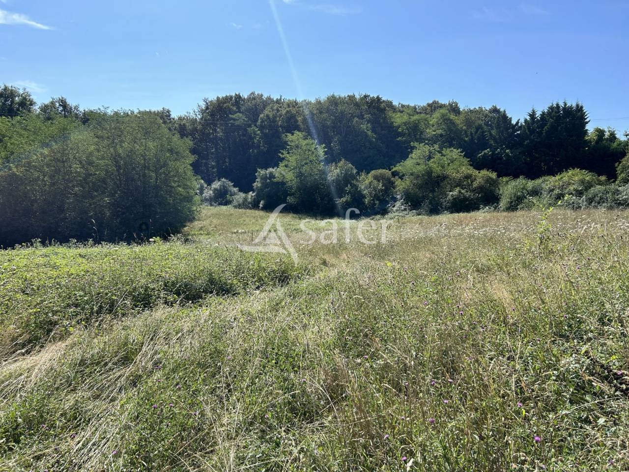 Landbouw bedrijf Koop Lot-et-Garonne
