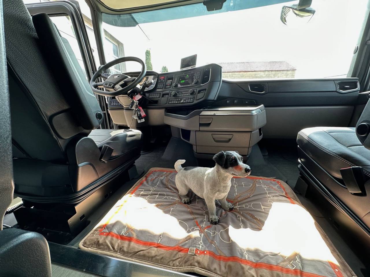 Zware paardenvrachtwagen (groot rijbewijs) Scania SCANIA 0 Nieuw