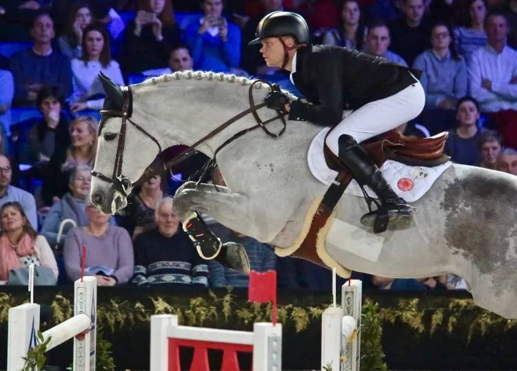 Merrie Selle Français Te koop 2014 Donker bruin / bai ,  ARIOSO DU THEILLET