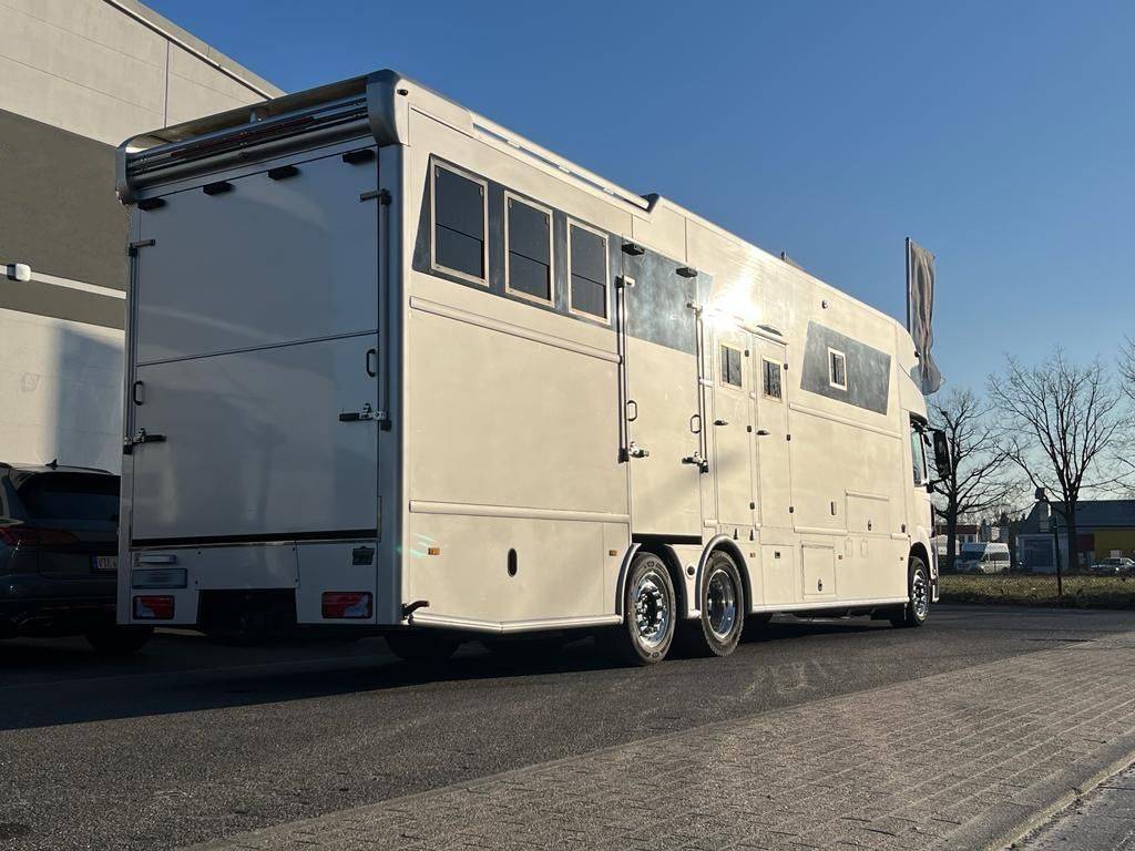 Zware paardenvrachtwagen (groot rijbewijs) Man MAN 0 Tweedehands
