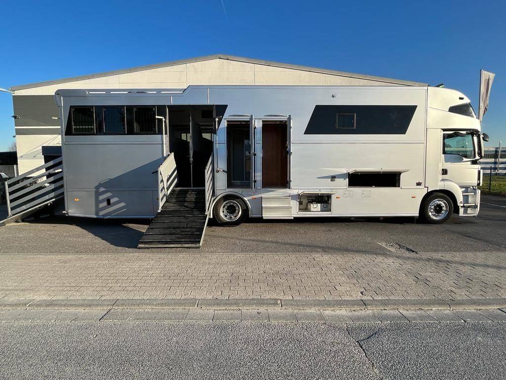 Zware paardenvrachtwagen (groot rijbewijs) Man MAN 0 Tweedehands