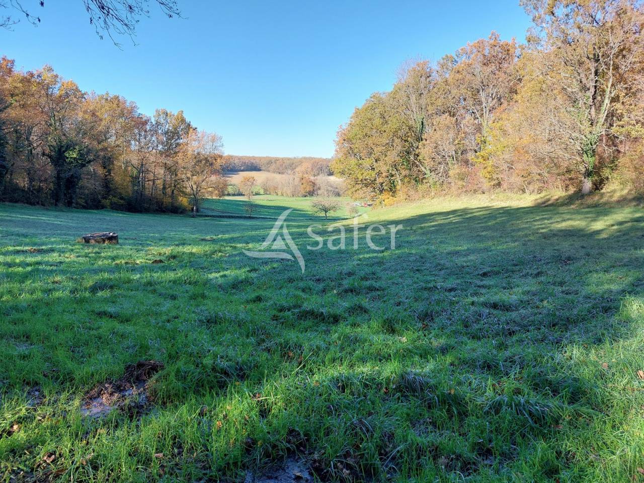 Ander plattelands vastgoed Koop Dordogne