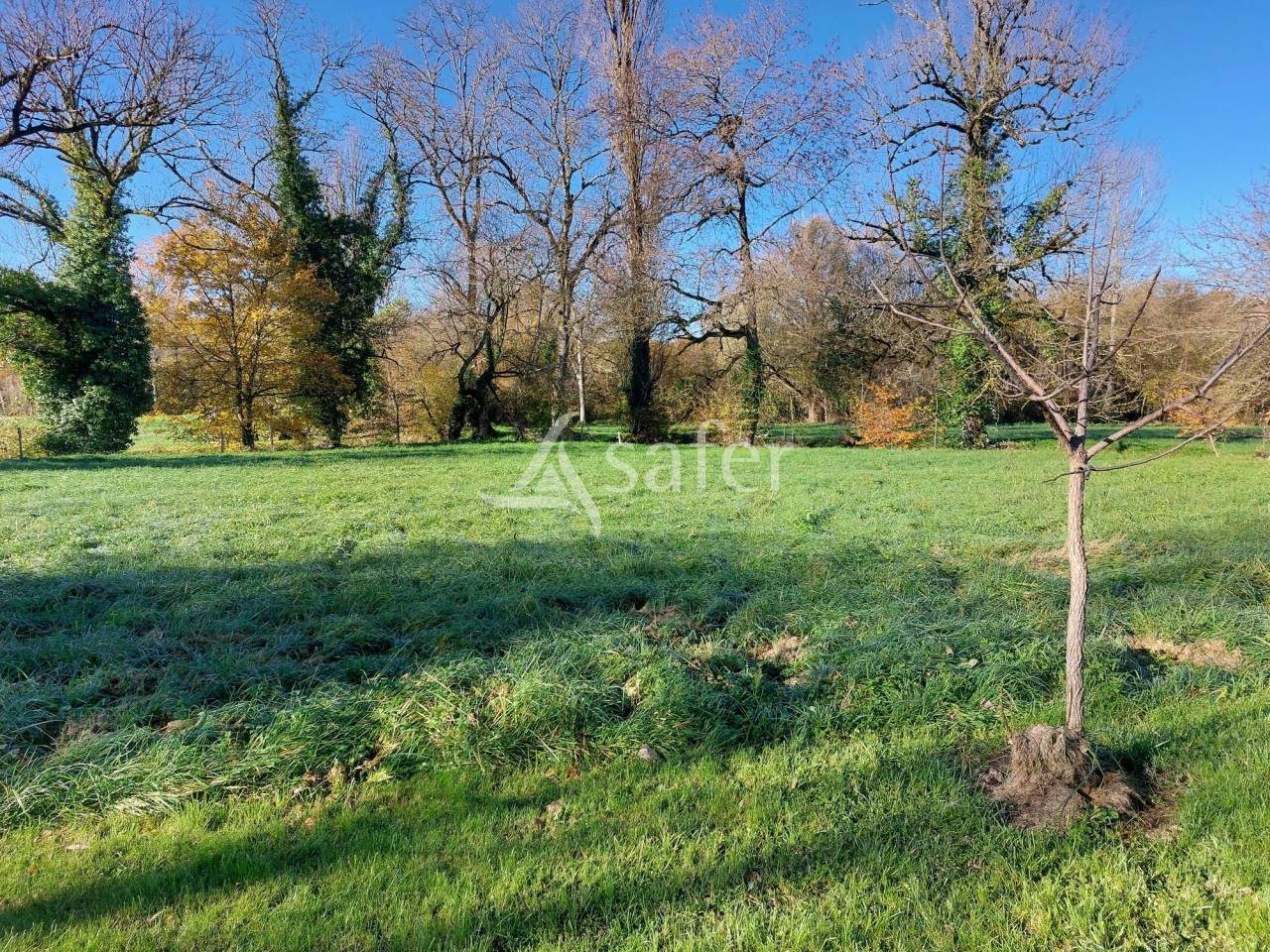 Ander plattelands vastgoed Koop Dordogne