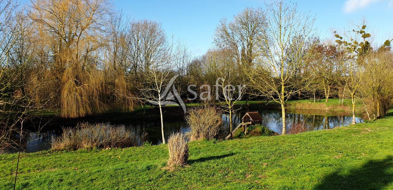 Landbouw bedrijf Koop Deux-Sèvres