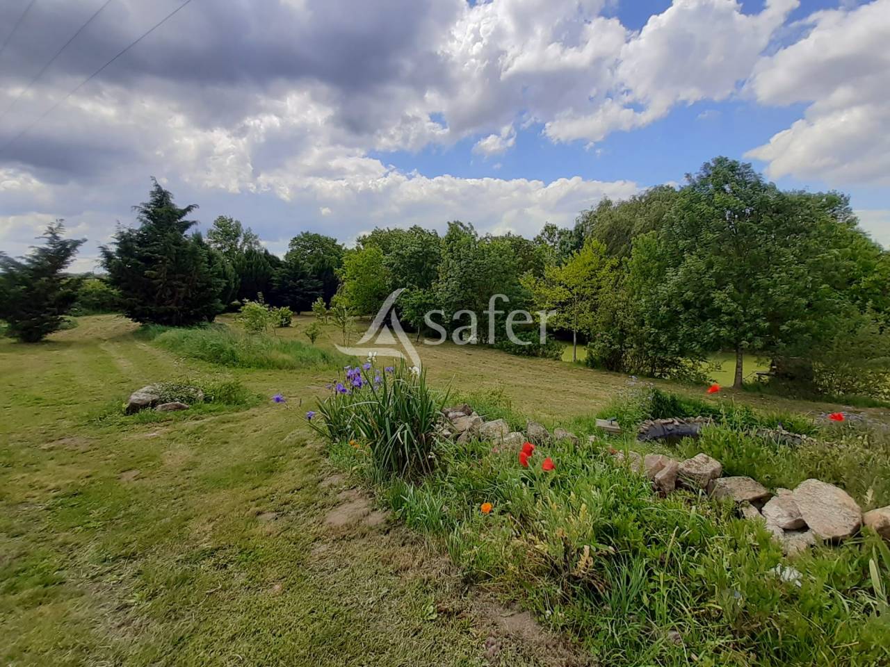 Landbouw bedrijf Koop Deux-Sèvres