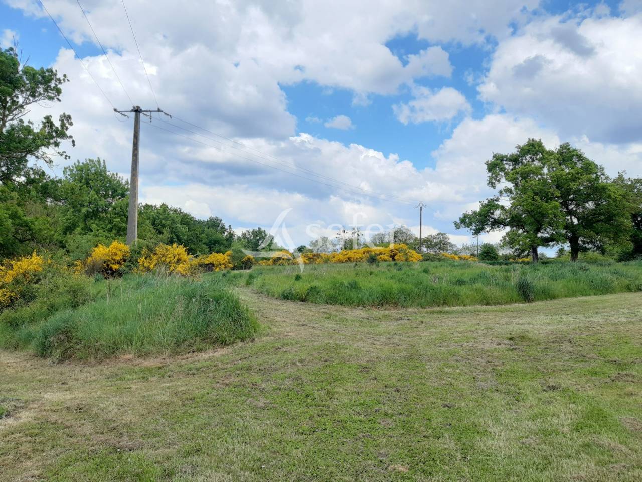 Landbouw bedrijf Koop Deux-Sèvres