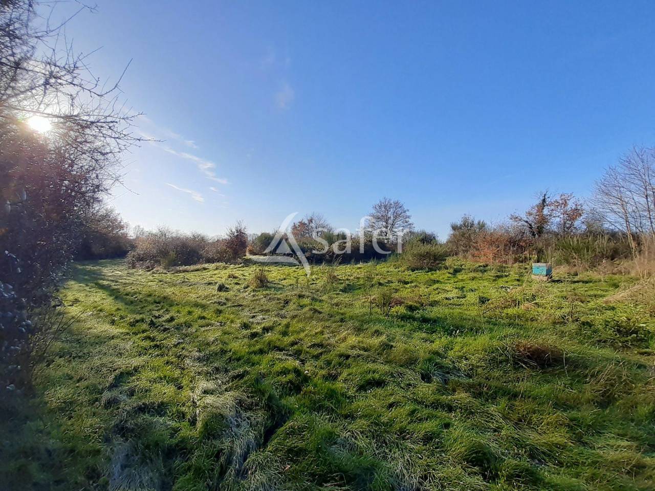 Landbouw bedrijf Koop Deux-Sèvres